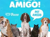 Programa Pet Amigo e Castramóvel chegam ao bairro São Cristóvão, em Palmeira dos Índios