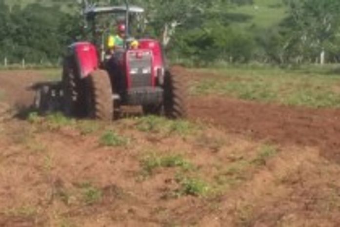 Palmeira: Programa Terra Arada já beneficiou mais de 900 famílias