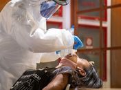 Covid-19: estudo indica que maioria de infectados cria anticorpos