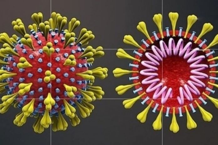 Palmeira tem 573 casos de coronavírus