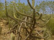 Quando a natureza chama...