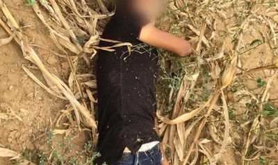 Corpo de homem é encontrado com marcas de tiros na zona rural de Batalha 
