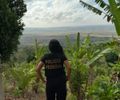 Suspeito de invadir, degradar e provocar incêndios em área tombada na Serra da Barriga é alvo de operação da PF