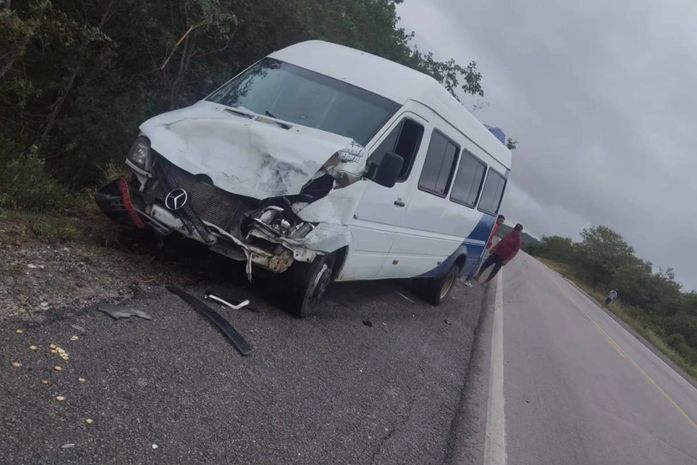 Motorista perde controle de van e atinge animal na AL-145 próximo a Delmiro Gouveia 

