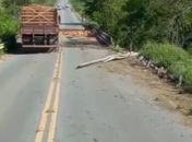 Caminhoneiro e filho, de Pão de Açúcar, sofrem acidente após serem atacados por abelhas em Sergipe