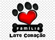 Jovens desenvolvem projeto que cuida de cães de ruas em Olho d´Água das Flores