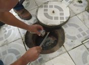 Saúde orienta população sobre prevenção e atendimento de picadas de escorpião em Maceió