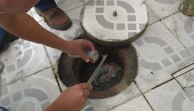 Saúde orienta população sobre prevenção e atendimento de picadas de escorpião em Maceió