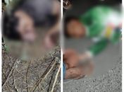 Jovens ficam feridos após motocicleta em que estavam colidir com boi entre Maravilha e Ouro Branco 
