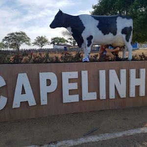 Povoado Capelinha, zona rural de Major Izidoro