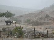 Previsão do tempo prevê no sertão chuva leve e passageira em curtos períodos para este feriado de São Pedro