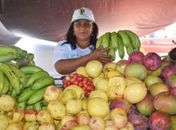 Iteral realiza a segunda Feira Agrária do Crédito Fundiário em Santana do Ipanema
