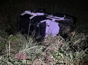 Motorista perde controle de veículo após bater em animal na AL-220 em Batalha 
