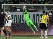 Libertadores: saiba quanto o Palmeiras vai faturar pela classificação para semifinal
