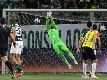 Libertadores: saiba quanto o Palmeiras vai faturar pela classificação para semifinal
