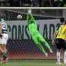 Libertadores: saiba quanto o Palmeiras vai faturar pela classificação para semifinal
