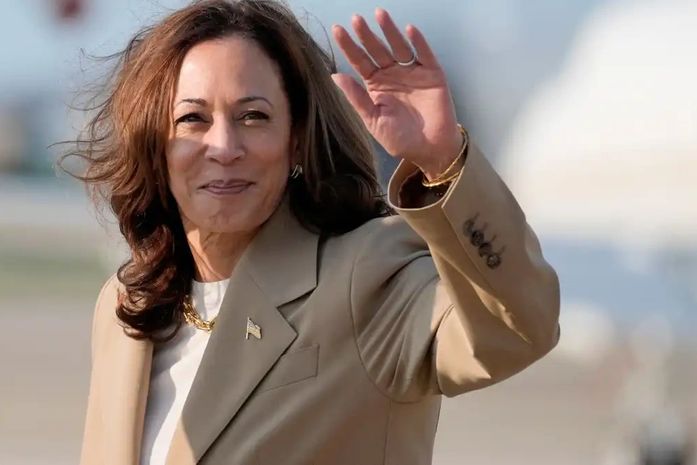 Partido Democrata confirma que Kamala conseguiu votos para candidatura