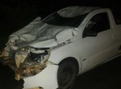 Motorista colide em vaca na AL-120 em Major Izidoro