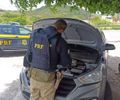 Homem é preso pela PRF em Santana do Ipanema por receptação de veículo
