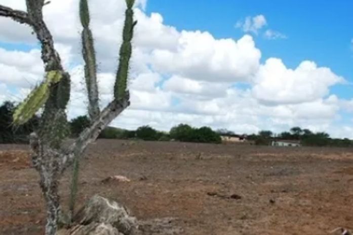 Seca e desmatamento avançam e ameaçam tornar 32% do semiárido em AL em deserto