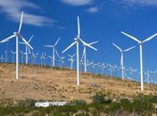 Governo de Alagoas busca investimentos para energia eólica em Mata Grande