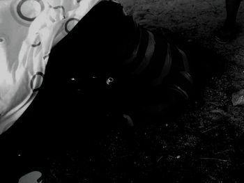 Rs=w:350,h:263,i:true,cg:true,ft:cover?cache=true