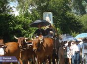 Procissão dos Carreiros marca o inicio do Novenário da Padroeira Senhora Sant´Ana em Santana do Ipanema