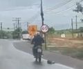 Dono de moto flagrada arrastando cachorro é identificado e será intimado para depor
