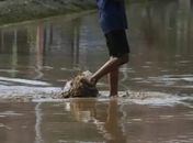 Temporada de chuvas acende alerta para doenças e Prefeitura de Palmeira reforça orientações à população