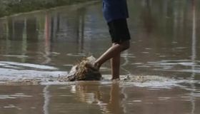 Temporada de chuvas acende alerta para doenças e Prefeitura de Palmeira reforça orientações à população