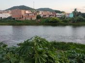 Após mais de 24hs de buscas, corpo de adolescente que se afogou em rio em Santana do Ipanema é encontrado 
