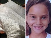Vídeos: Menina que havia desaparecido em Maravilha é encontrada morta após estupro, corpo estava dentro de saco no telhado da casa do acusado que foi preso