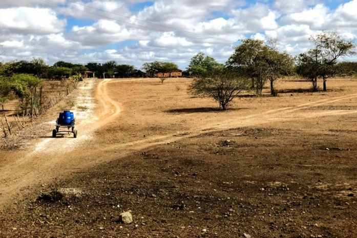 Vídeo: Jornal Nacional mostra situação da Seca que assola o Sertão de Alagoas