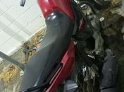 Jovem é preso após ser flagrado empinando moto com as numerações do chassi e motor adulterados em São José da Tapera 
