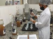 Projeto do Ifal Piranhas faz licores com uvas cultivadas em parreirais da unidade
