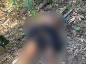 Corpo de homem nu é encontrado em terreno baldio no centro de Maravilha 
